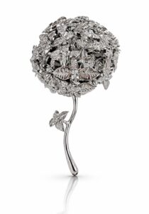 Albahaca de plata