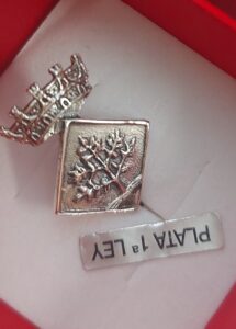 Pin de plata ayuntamientos