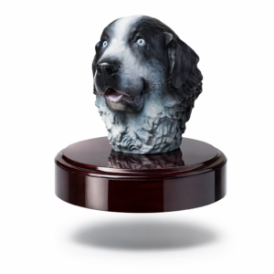 Trofeo de perros para Campeonato Nacional